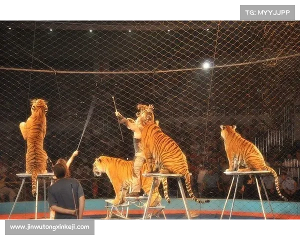 《揭秘暗月马戏团十大神秘飞翔技巧 探索奇幻空中表演的背后秘密》 《揭秘暗月马戏团十大神秘飞翔技巧 探索奇幻空中表演的背后秘密》