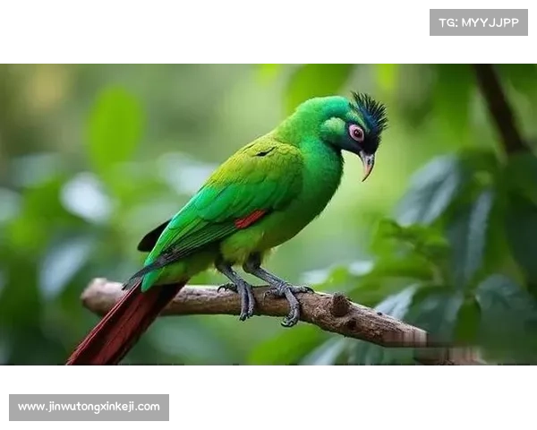 生命与自然的和谐节奏 生命与自然的和谐节奏