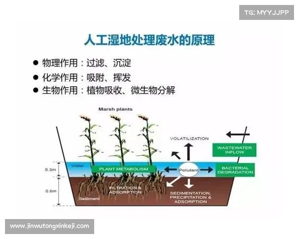 如何在火焰之地进行安全探险并有效应对极端环境的全面指南 如何在火焰之地进行安全探险并有效应对极端环境的全面指南