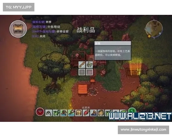 朱雀天境探索全攻略：从入门到精通的详细步骤与技巧解析