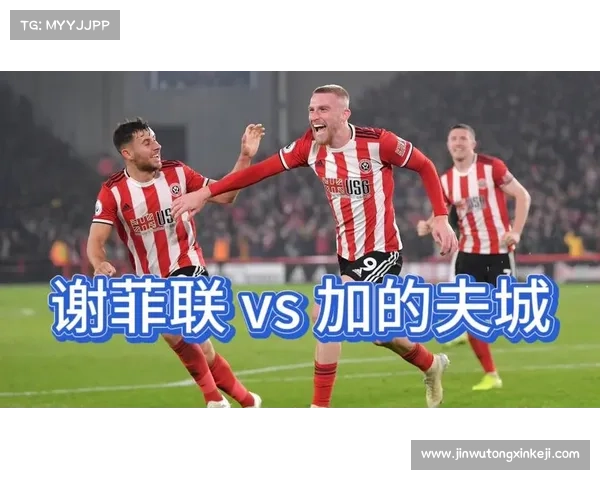 加的夫城足球联赛分类详解与历史发展概述 加的夫城足球联赛分类详解与历史发展概述