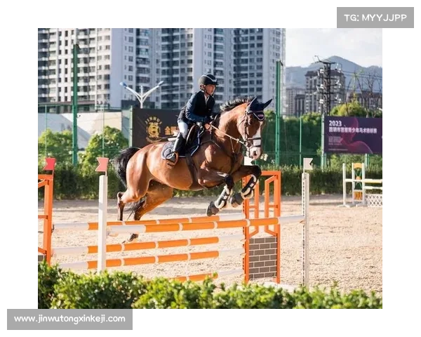 如何从技术与心理角度全面分析马术比赛中骑手的表现