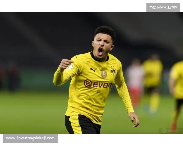 如何深入了解多特边锋桑乔的个人成长经历与背景分析